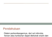 Menguak Dunia Ajaib Teknologi Enzim: Revolusi Tak Terlihat yang Mengubah Segalanya