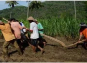 Alat Teknologi Tradisional: Kekuatan Manusia di Balik Inovasi Sederhana